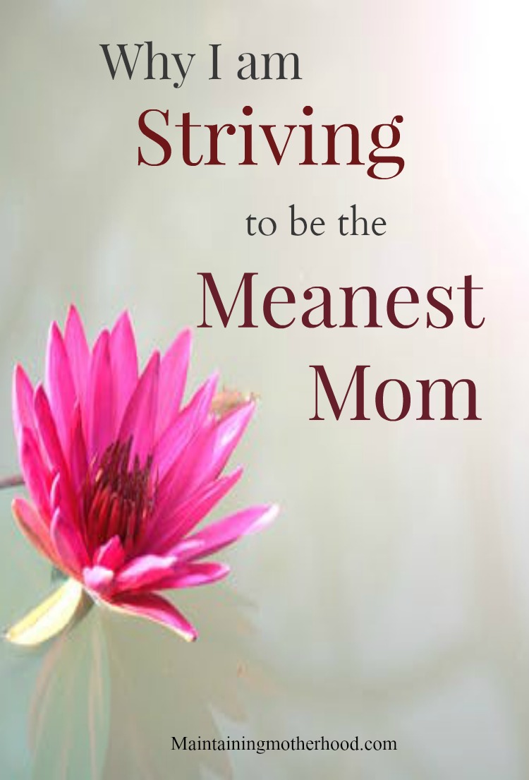 Are you a mean mom? Want to know how you can be? Find out What you can do by reading about how I am striving to be the meanest mom.