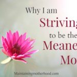 Why I am Striving to be the Meanest Mom