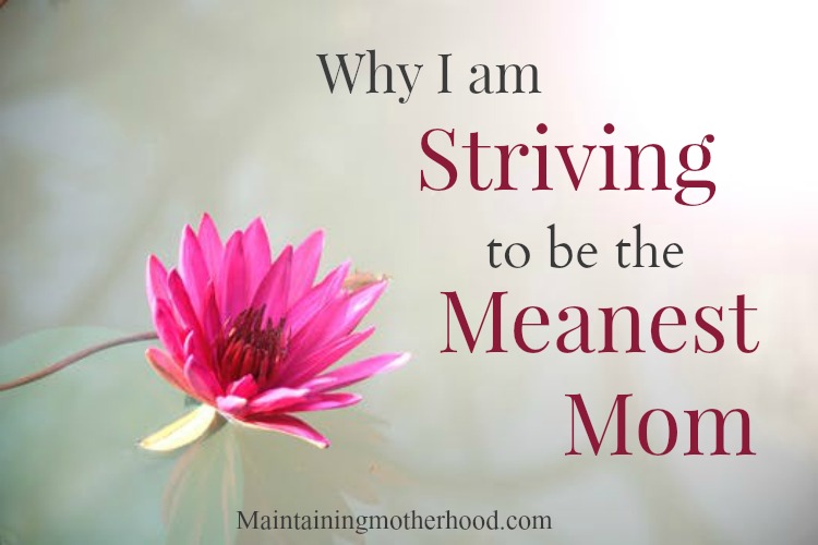 Are you a mean mom? Want to know how you can be? Find out What you can do by reading about how I am striving to be the meanest mom.