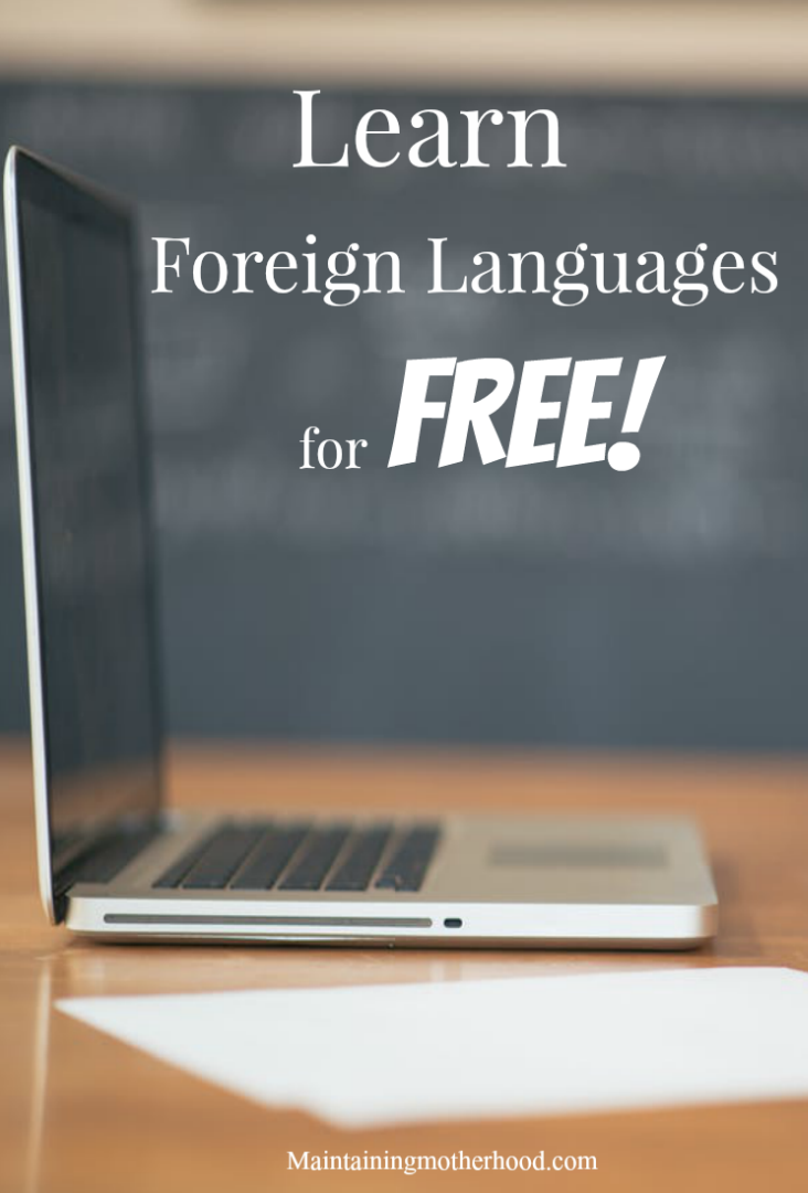 Have you ever wanted to learn to speak Spanish? With a few apps on your phone, you can learn to speak numerous foreign languages at home for free!