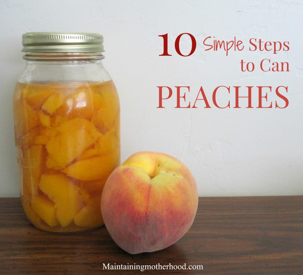 Want to savor the taste of summer all winter long? Enjoy canned peaches long after peach season. Learn how to can peaches in 10 simple steps.