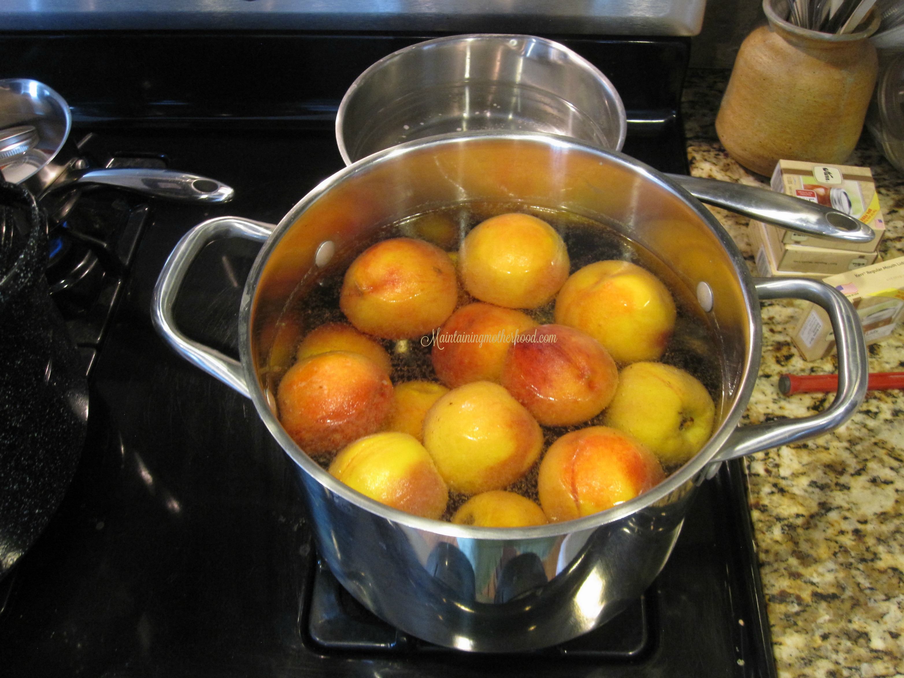 Want to savor the taste of summer all winter long? Enjoy canned peaches even after peach season. Learn how to can peaches In 10 simple steps.