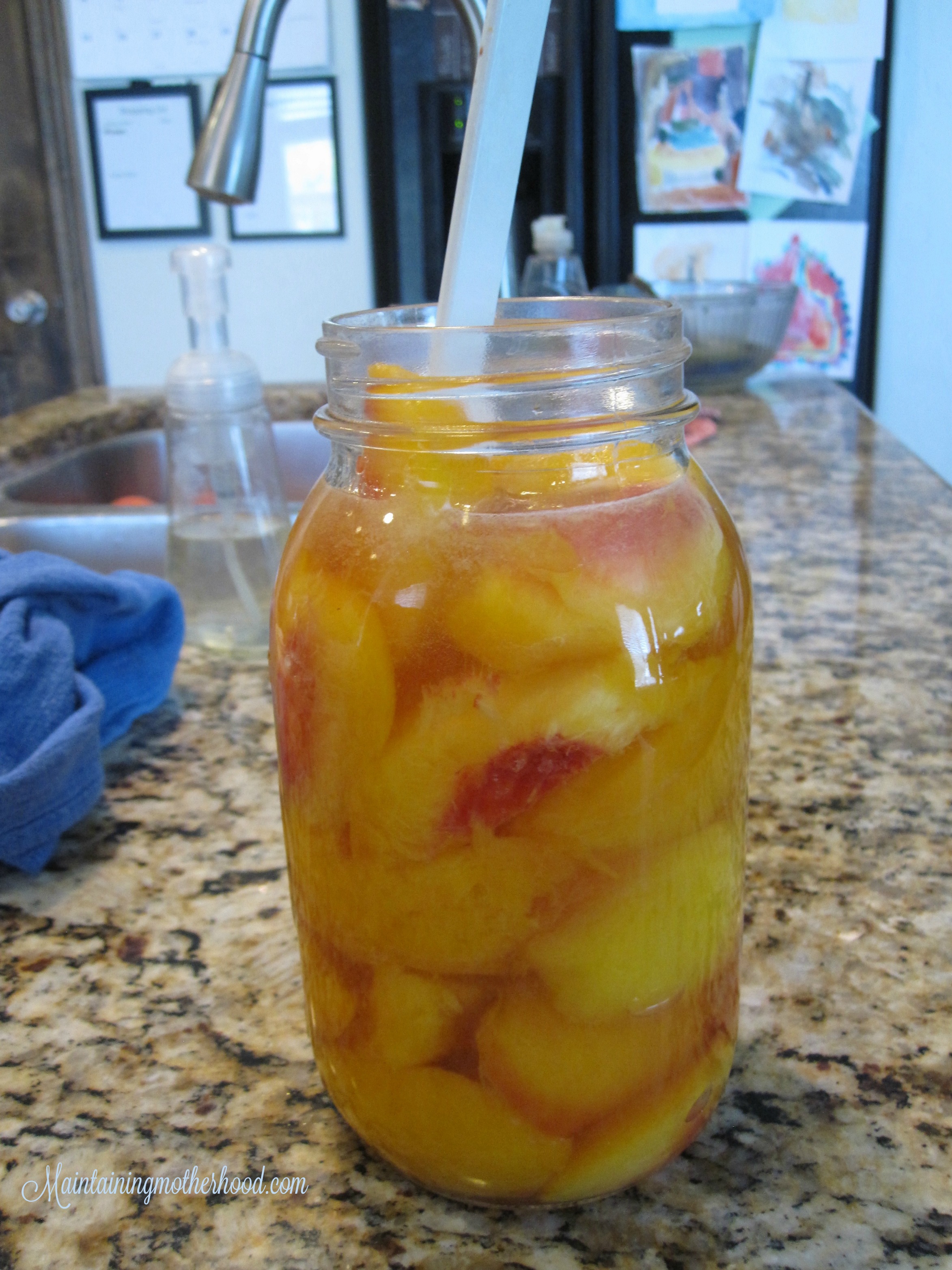 Want to savor the taste of summer all winter long? Enjoy canned peaches even after peach season. Learn how to can peaches In 10 simple steps.