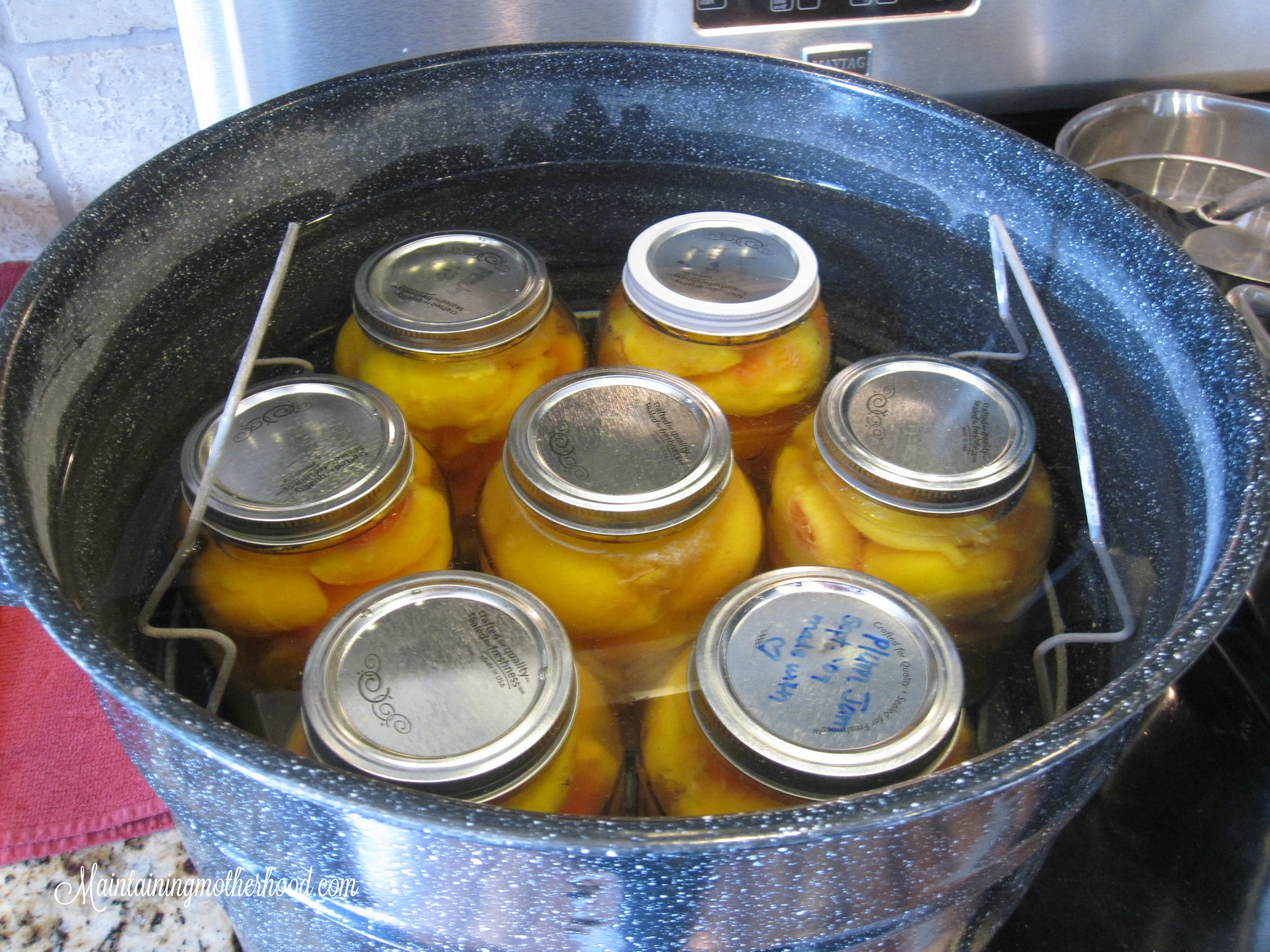 Want to savor the taste of summer all winter long? Enjoy canned peaches even after peach season. Learn how to can peaches In 10 simple steps.