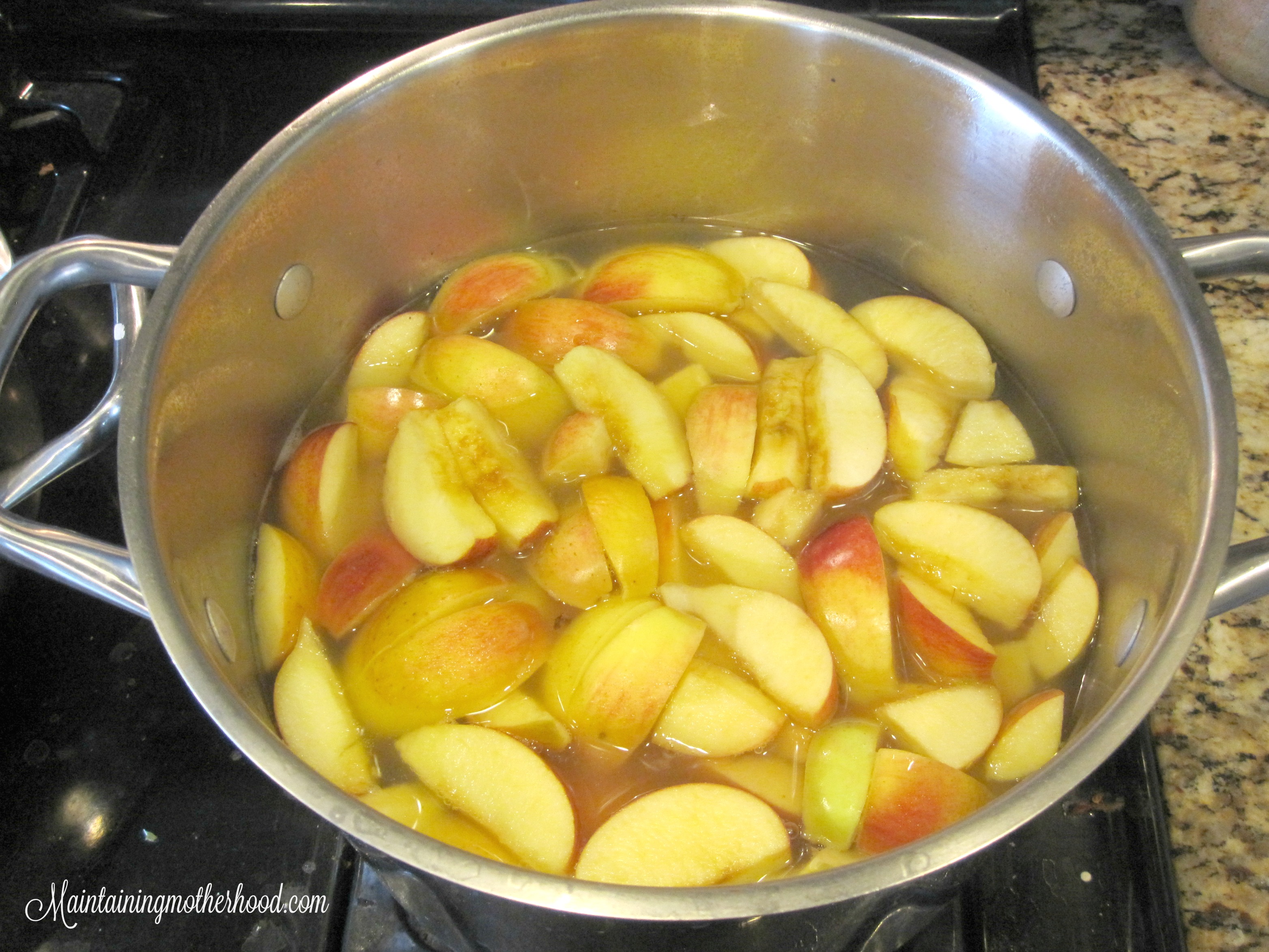 We go a little bit crazy preserving the deliciousness of fresh apples. Here are 10 simple steps to walk you through how to can your applesauce.