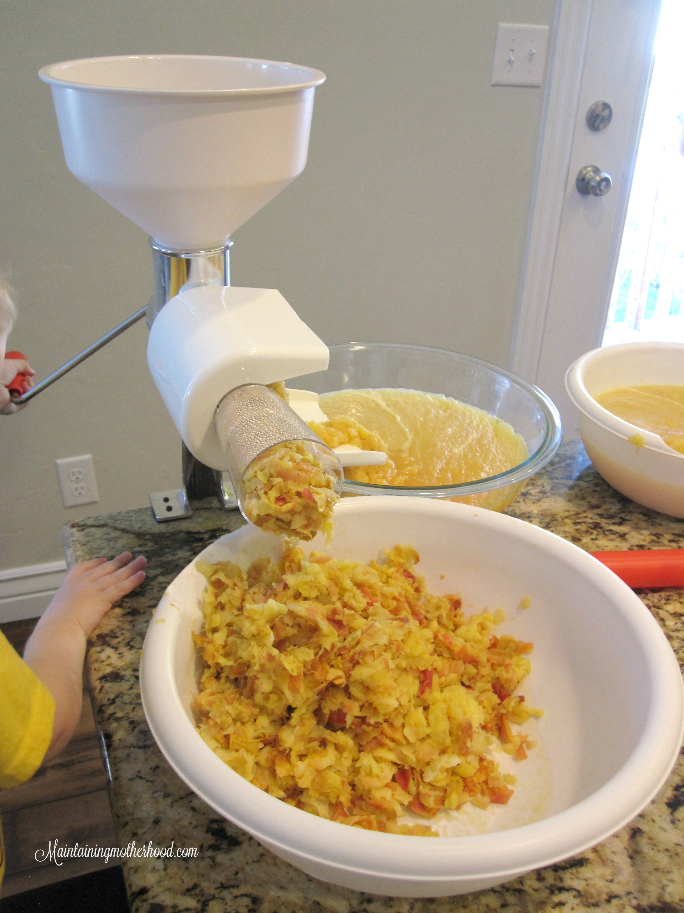 We go a little bit crazy preserving the deliciousness of fresh apples. Here are 10 simple steps to walk you through how to can your applesauce.