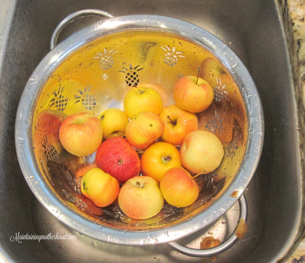 How to Make Applesauce in a Blender Maintaining Motherhood