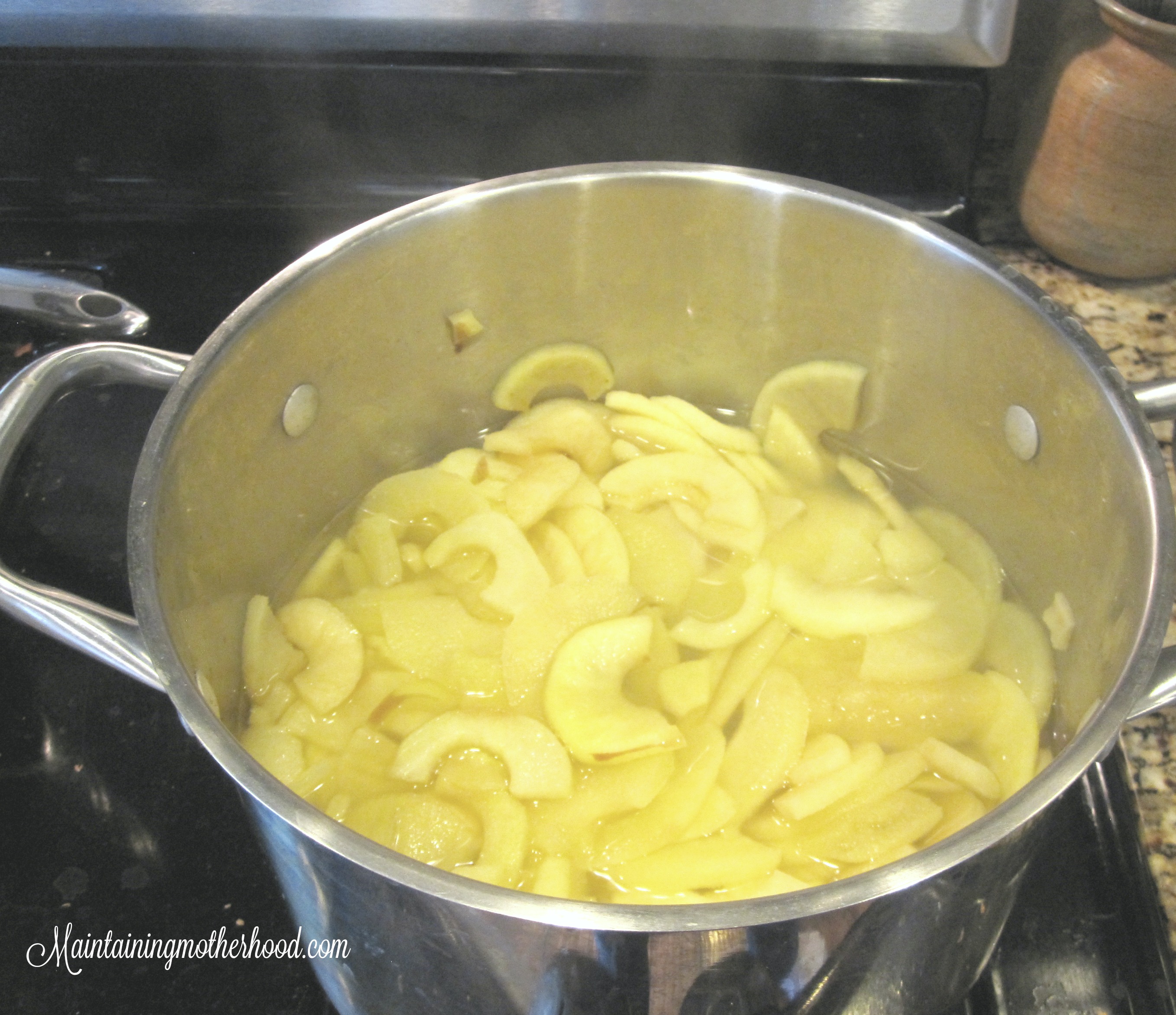 I used to think the only way to make applesauce was with a food strainer. I recently tried making applesauce in a blender, and really liked it!