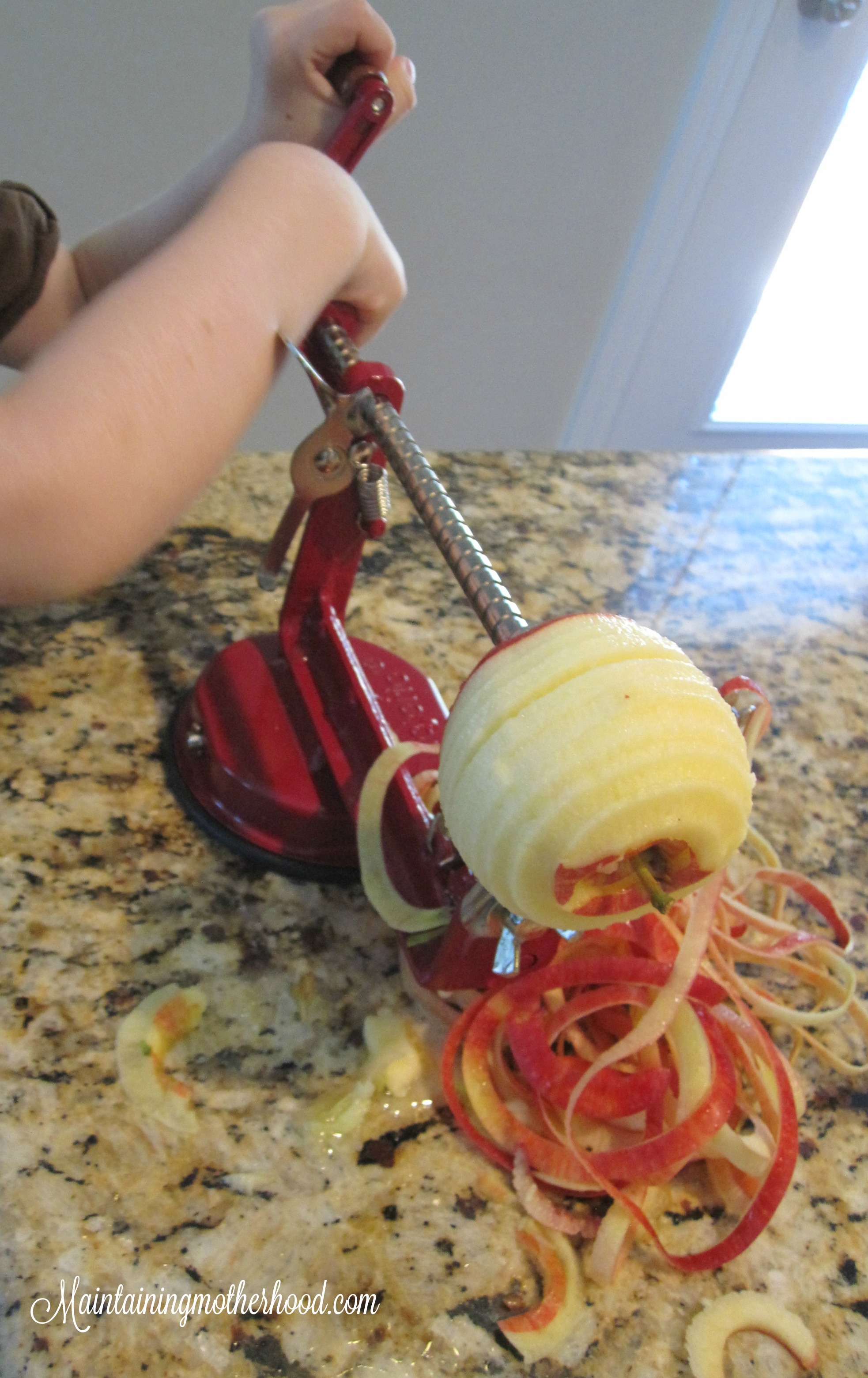 I used to think the only way to make applesauce was with a food strainer. I recently tried making applesauce in a blender, and really liked it!