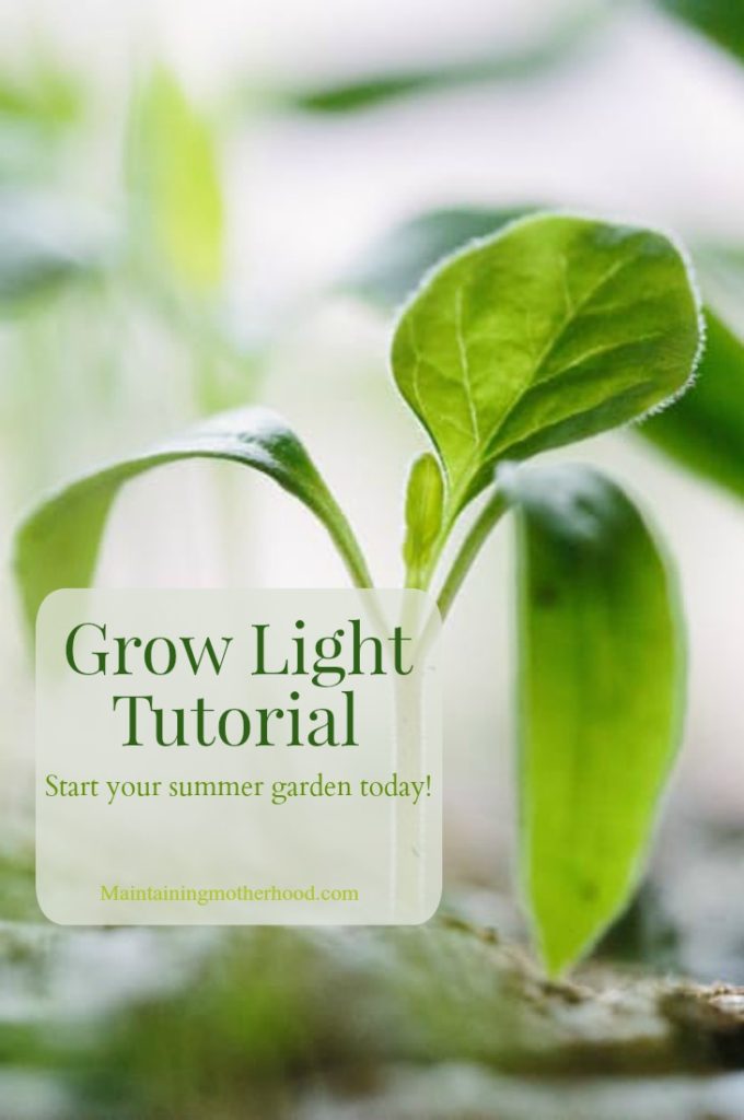 I've sprouted seeds, transplanted seedlings, now it's time to place them under the grow lights. Follow this simple grow light tutorial and see the benefits!