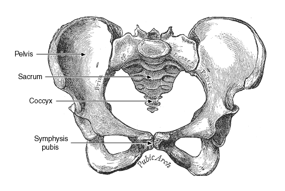 Are you pregnant and suffering with pelvic pain? Here are some tips to help you relieve the pelvic pain and discomfort during pregnancy!