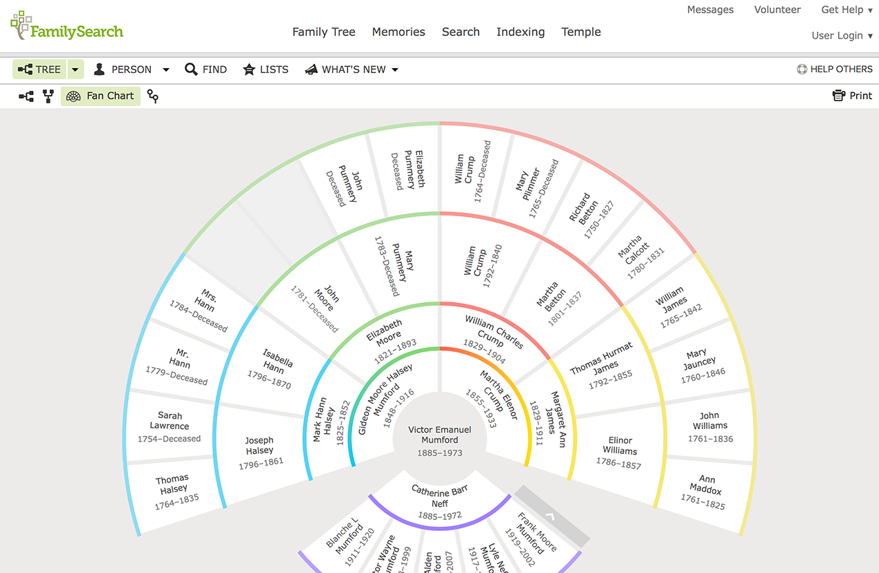 After you have connected to deceased ancestors in FamilySearch.org, what's next? Learn to use the views in FamilySearch.org to find your relatives!