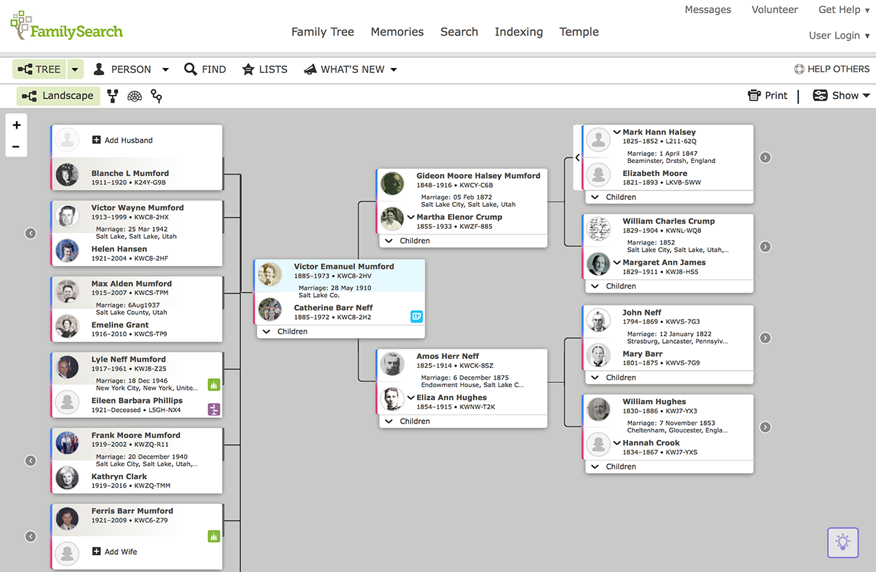 After you have connected to deceased ancestors in FamilySearch.org, what's next? Learn to use the views in FamilySearch.org to find your relatives!