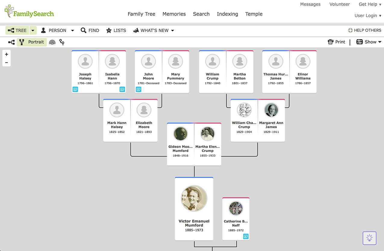 After you have connected to deceased ancestors in FamilySearch.org, what's next? Learn to use the views in FamilySearch.org to find your relatives!