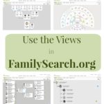 Use the Views in FamilySearch.org