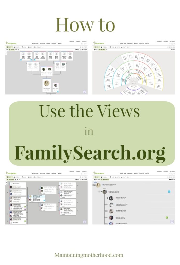 After you have connected to deceased ancestors in FamilySearch.org, what's next? Learn to use the views in FamilySearch.org to find your relatives!