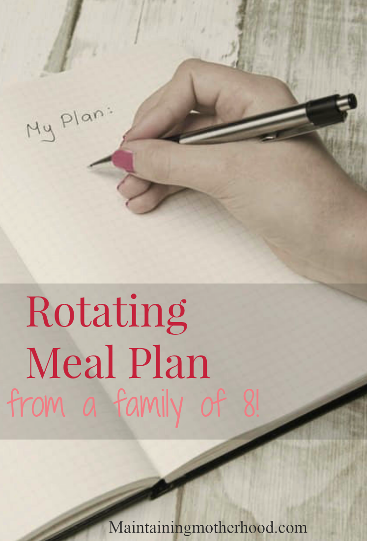 Family Experiment: Meal Plan for 2 Weeks