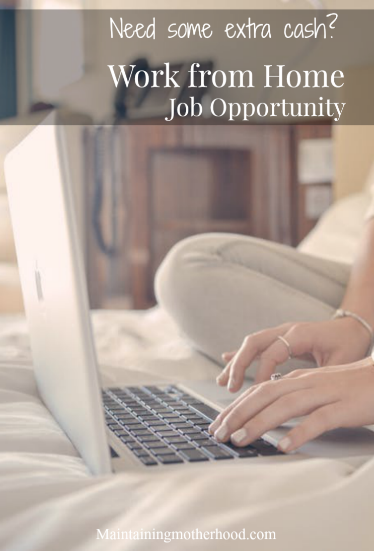 Need to make some extra cash? Here is a great work from home job opportunity that is perfect for stay at home moms looking to make some money!