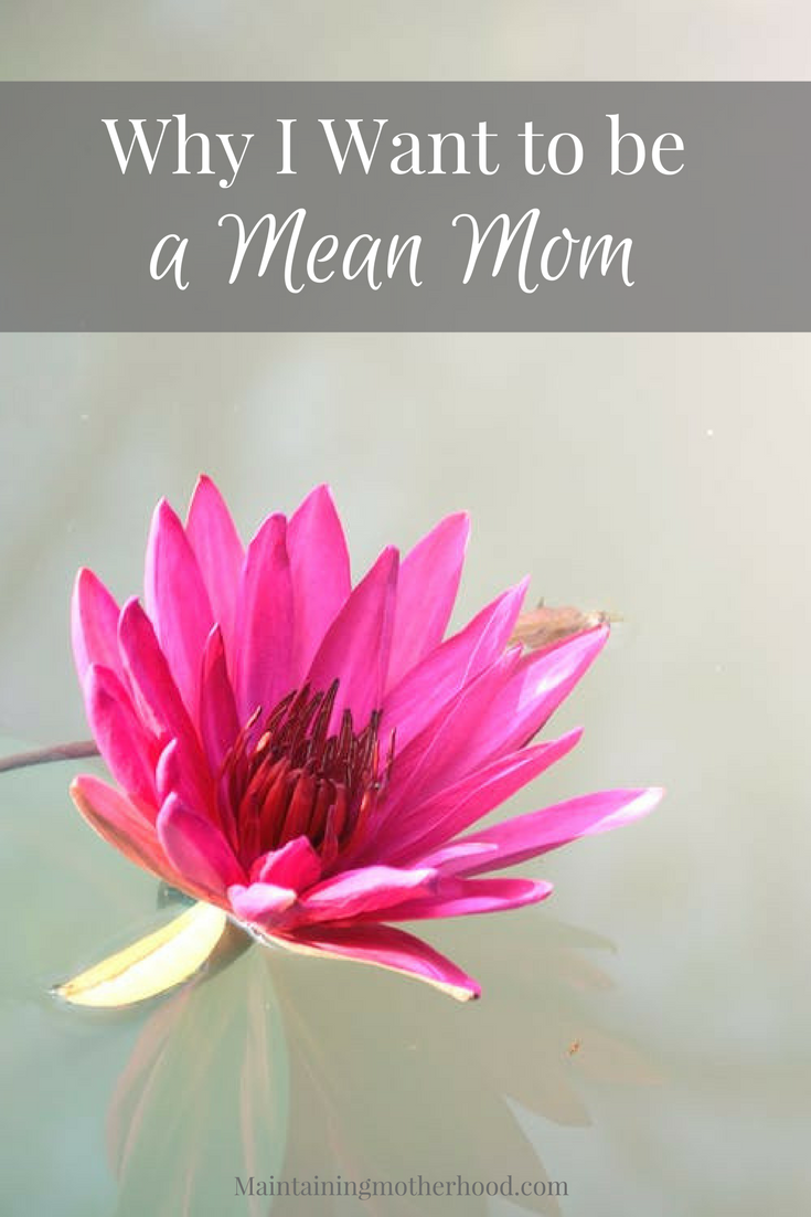 Do you ever feel like a mean mom? Find out why that's a good thing, and how you can embrace it as a strength to raise amazing kids!