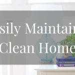 The Easiest Thing to Maintain a Clean Home