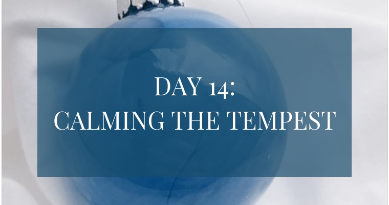 Christmas Countdown Book Day 14: Calming the Tempest. See the art, scripture, song, video, and ornament that help us remember Christ.