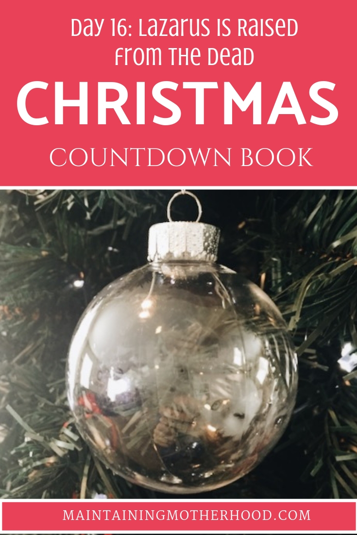 Christmas Countdown Book Day 17: Suffer the Little Children to Come Unto Me. See the art, scripture, song, video, and ornament that help us remember Christ.
