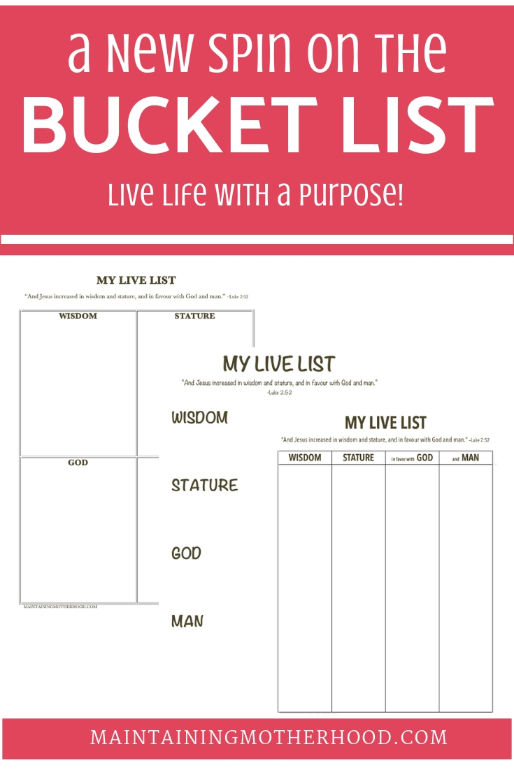 Want to get MORE out of life? Try making a bucket list every year and really live! Make your dreams a reality by setting goals with this easy printable!