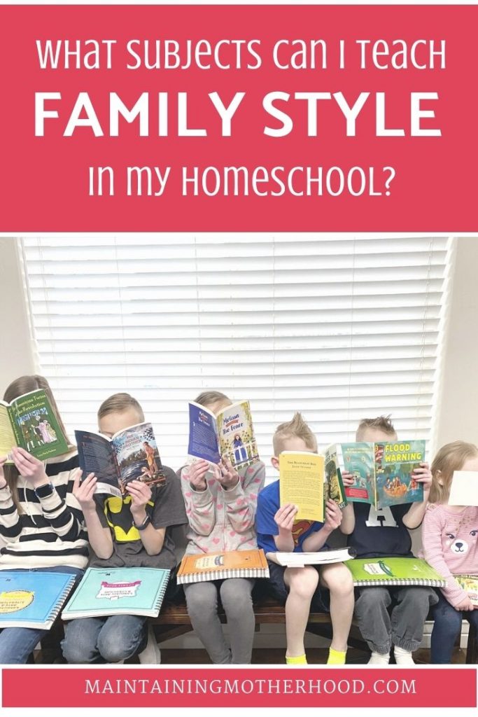 In order to simplify our homeschool, we have certain subjects that we teach Family Style. See which subjects and how we utilize family style teaching!